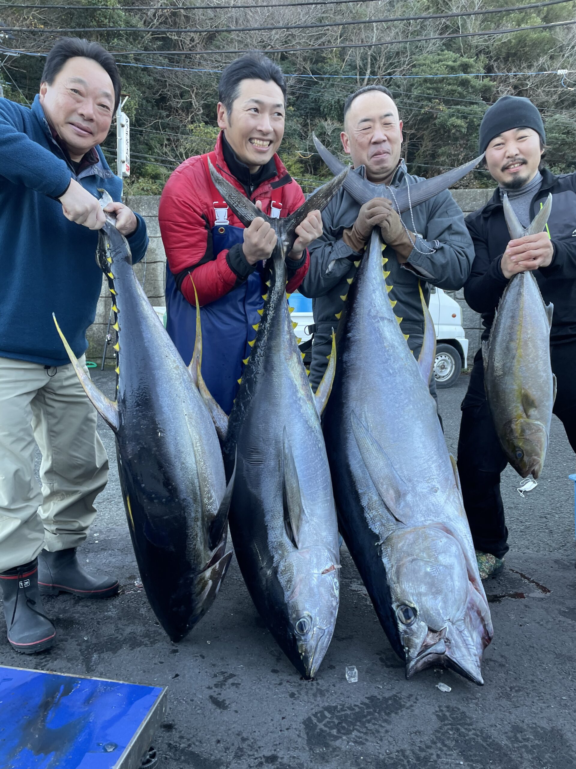 マグロ泳がせ爆釣最大60kg❗️ゲット南伊豆忠兵衛丸【公式サイト】