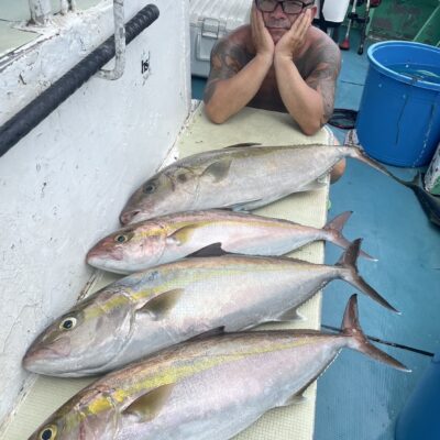 銭洲チビムロ泳がせ爆釣です😊