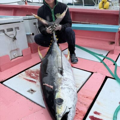 マグロ泳がせ出船😊