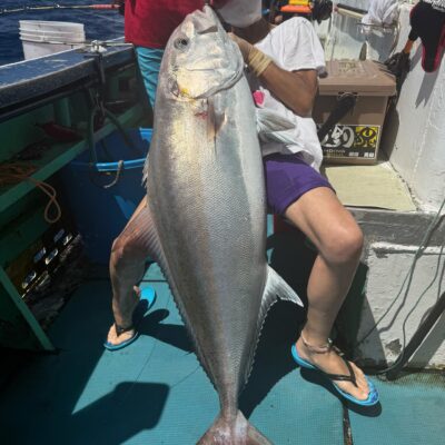 銭洲カンパチ最大22.6kg😊ヒットです😊